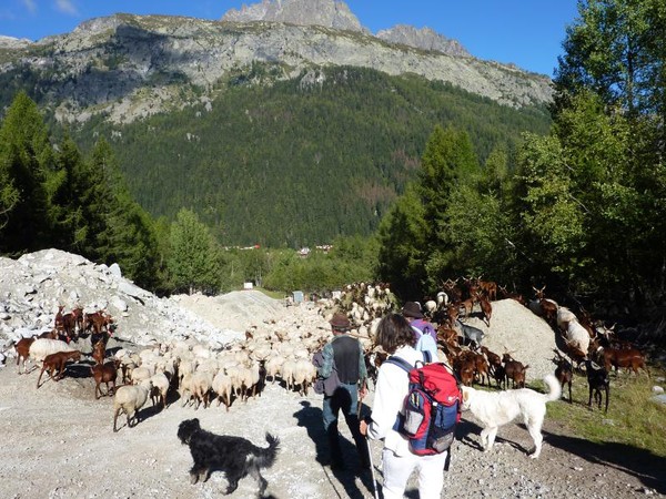 BERGERE D UN JOUR